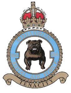 166 Squadron Emblem